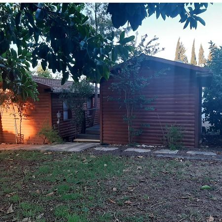 A Fun Holiday In The Galilee Sede Eli'ezer Luaran gambar
